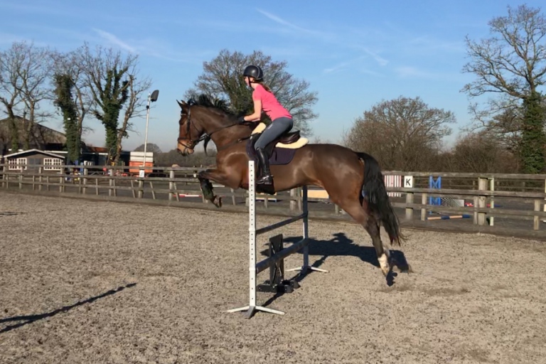 Read more about the article Balli is getting ready for the competition season!