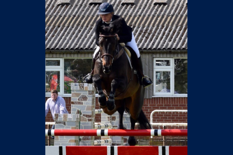 Read more about the article Nottinghamshire County Show 2019
