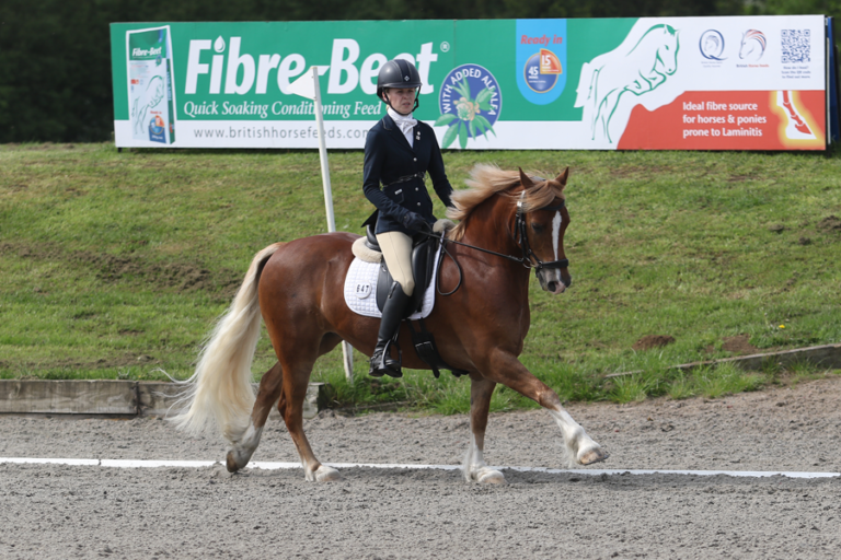 Read more about the article British Riding Clubs Fibre-Beet Festival of the Horse Championships 2019