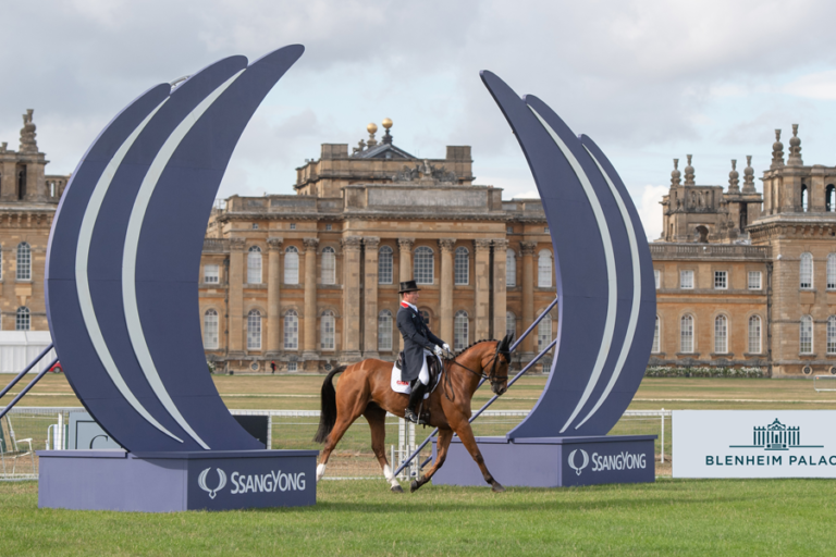 Read more about the article Speedi-Beet Sponsors Blenheim Inspection Area