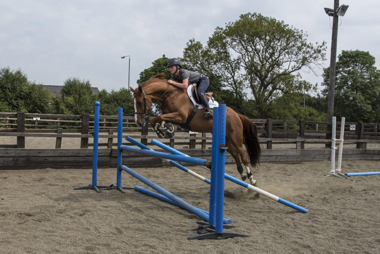 Read more about the article Riding Straight and True with Pippa Allen