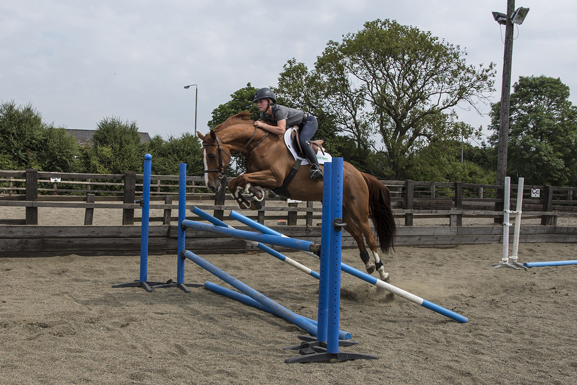 You are currently viewing Riding Straight and True with Pippa Allen