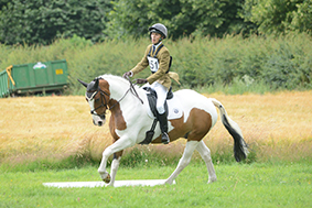 You are currently viewing Rosettes galore for Billy Bank and team