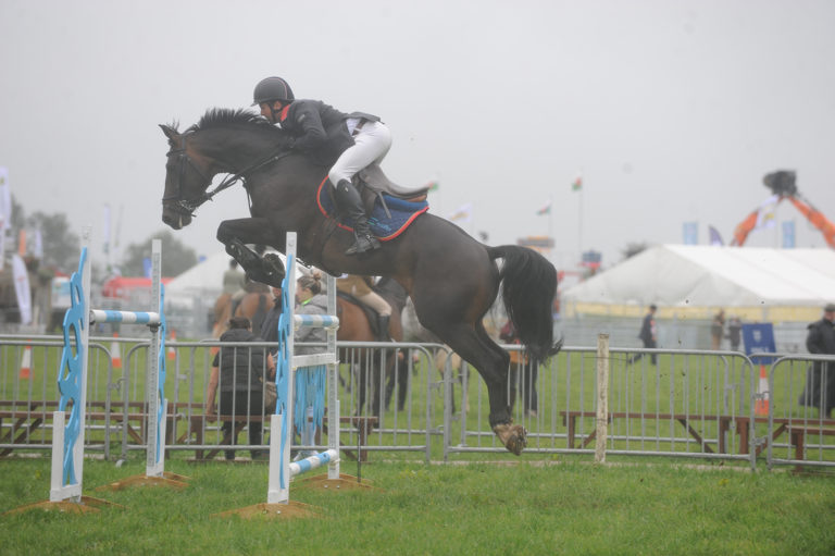 Read more about the article The Last Speedi-Beet HOYS Grade C Qualifier