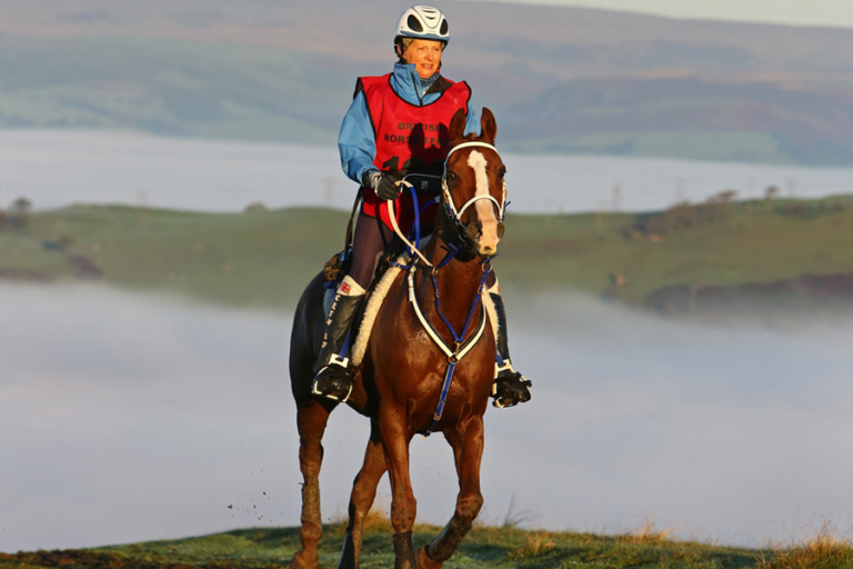 Read more about the article Endurance GB attracts record entry at final season classic – British Horse Feeds’ Red Dragon Festival of Endurance