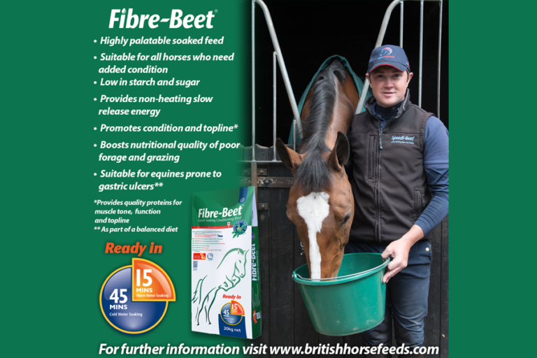 Read more about the article Team Sommerville 2019 Eventing Season