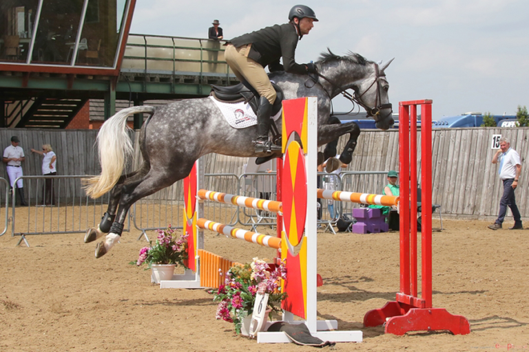 Read more about the article Steve’s first time at Bramham