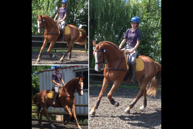 Read more about the article Coral has been working hard!