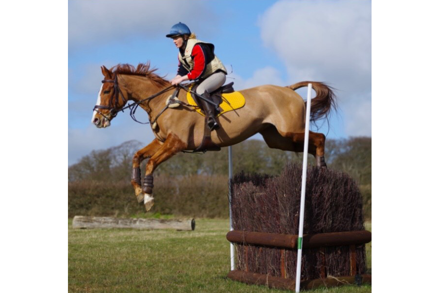 You are currently viewing The British Weather Stops Plans For Coral