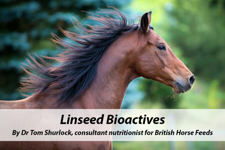 Read more about the article Linseed Bioactives