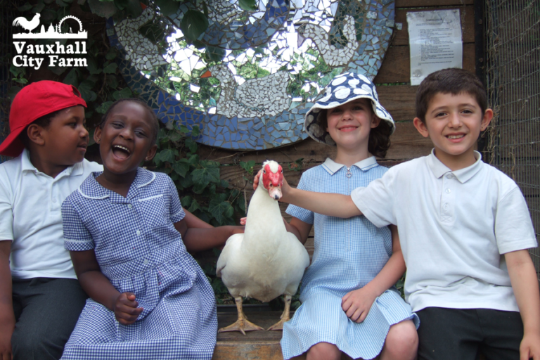 Read more about the article British Horse Feeds Supports Vauxhall City Farm
