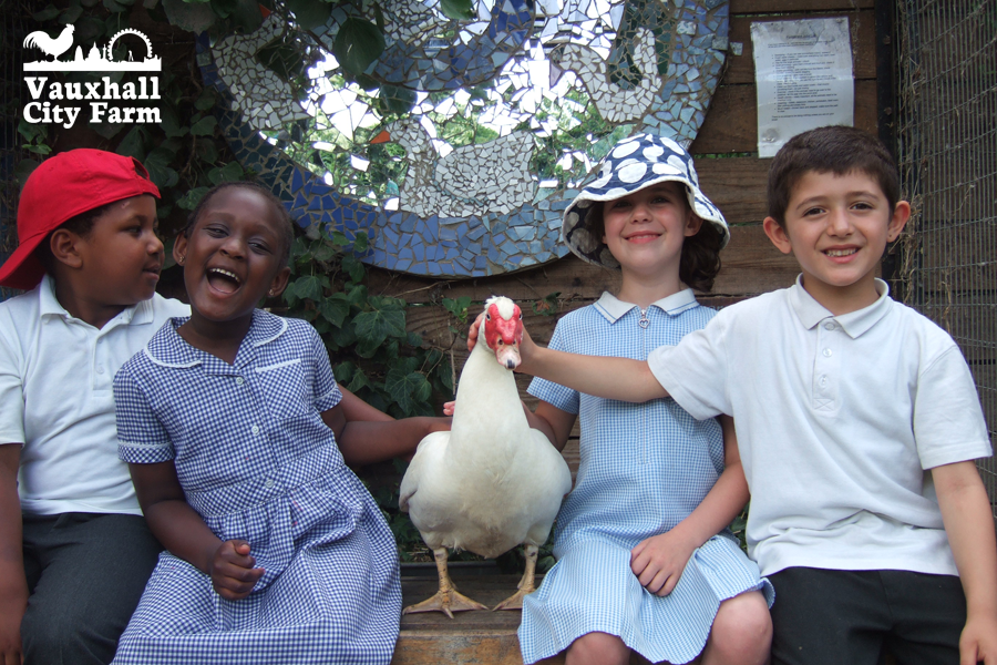 You are currently viewing British Horse Feeds Supports Vauxhall City Farm