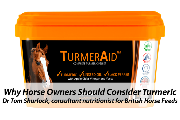 Read more about the article Why horse owners should consider turmeric