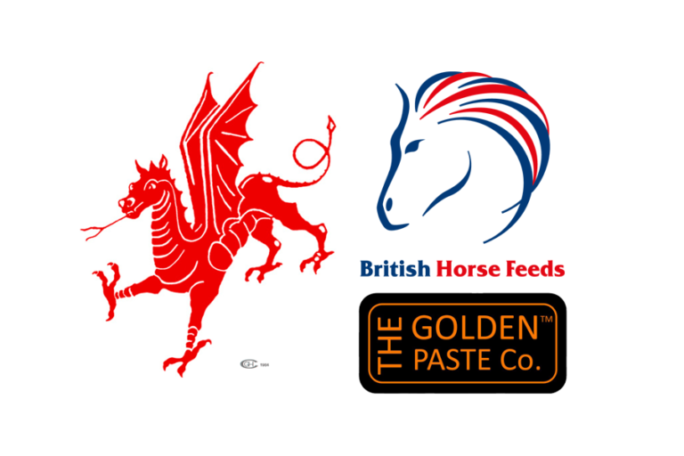 Read more about the article Red Dragon Festival Of Endurance Is On