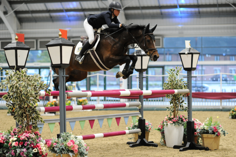 Read more about the article British Horse Feeds Speedi-Beet Grade C Championship