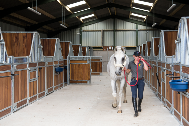 Read more about the article Getting Ready for Spring