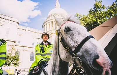 Read more about the article City of London Police Update