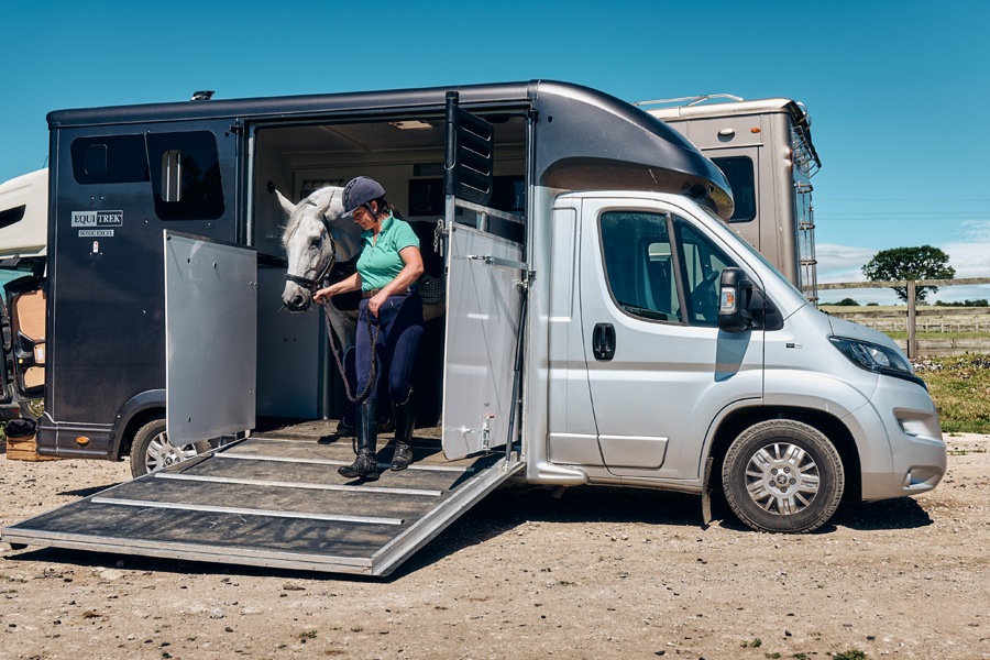 You are currently viewing Nutrition for the Competition Horse
