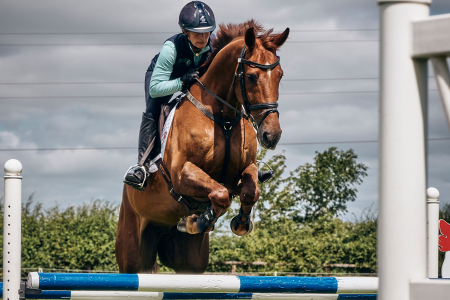 Nutrition for Showjumping Horses