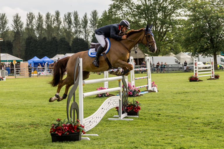 Read more about the article South of England Show
