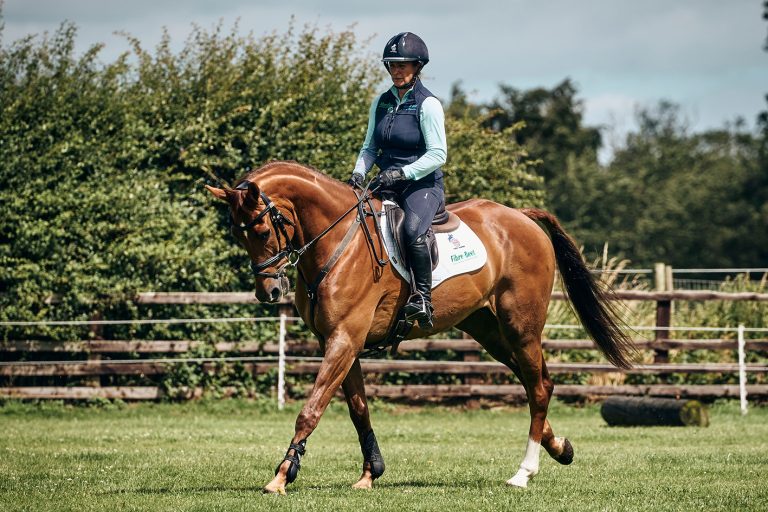Read more about the article Training the Young Horse with Heidi Woodhead
