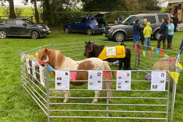 You are currently viewing Hope Pastures – September Update