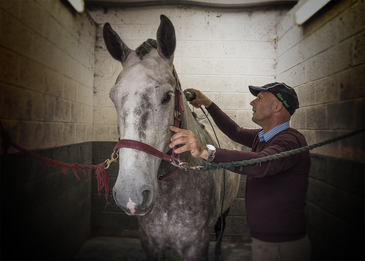 You are currently viewing Caring for Your Horse’s Coat over Winter