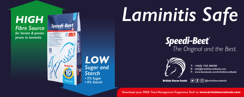 You are currently viewing Feeding for Laminitis