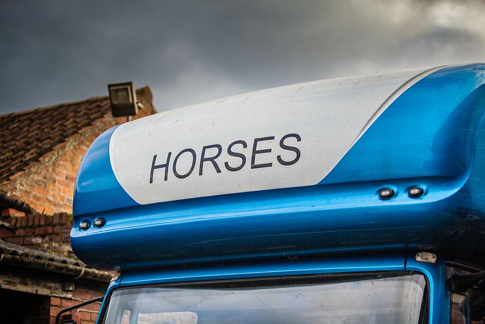 What Increases The Chances of Dehydration in Horses
