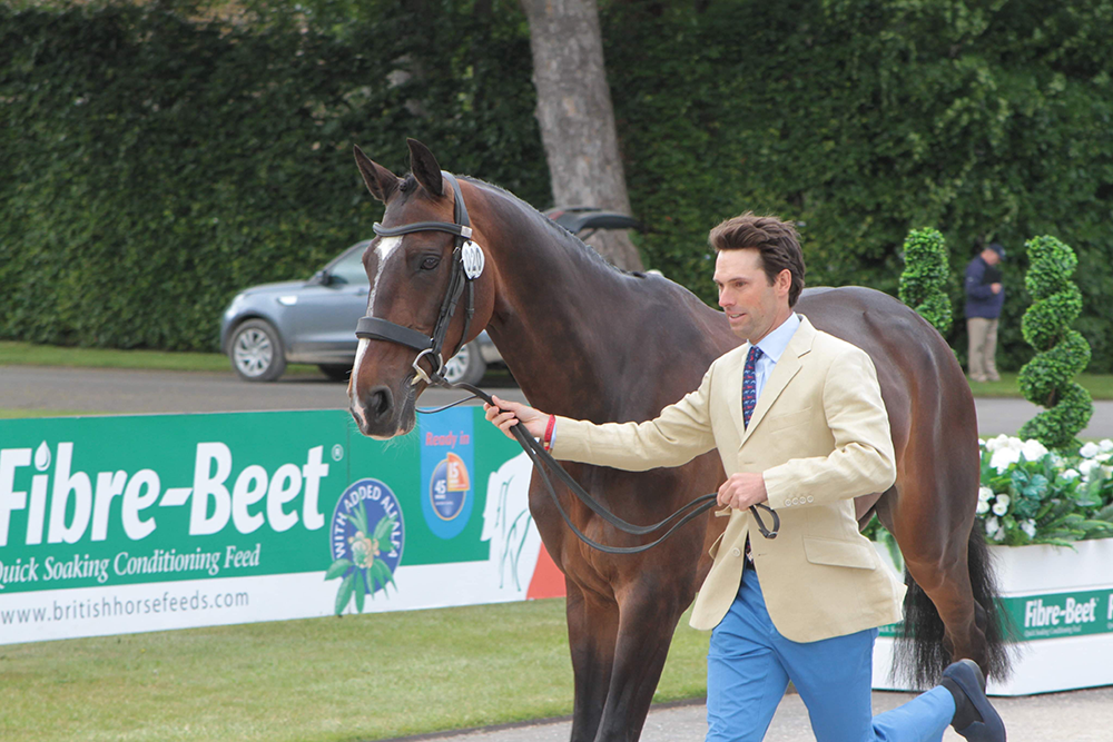You are currently viewing British Horse Feeds Enjoy the Big Buzz at Bramham
