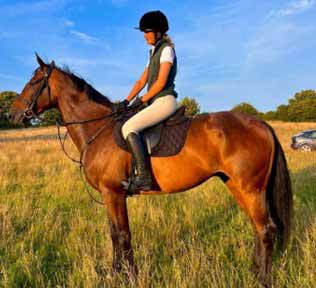 side-view-woman-riding-a-horse
