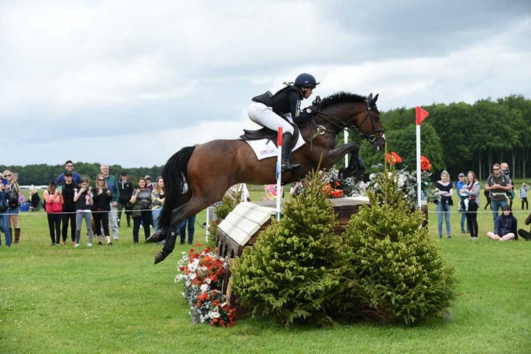 Read more about the article Lumps, Bumps & Rashes: Exploring Skin Infections, Allergies, and a Case Study of James Sommerville’s horse “Jack” in 2023
