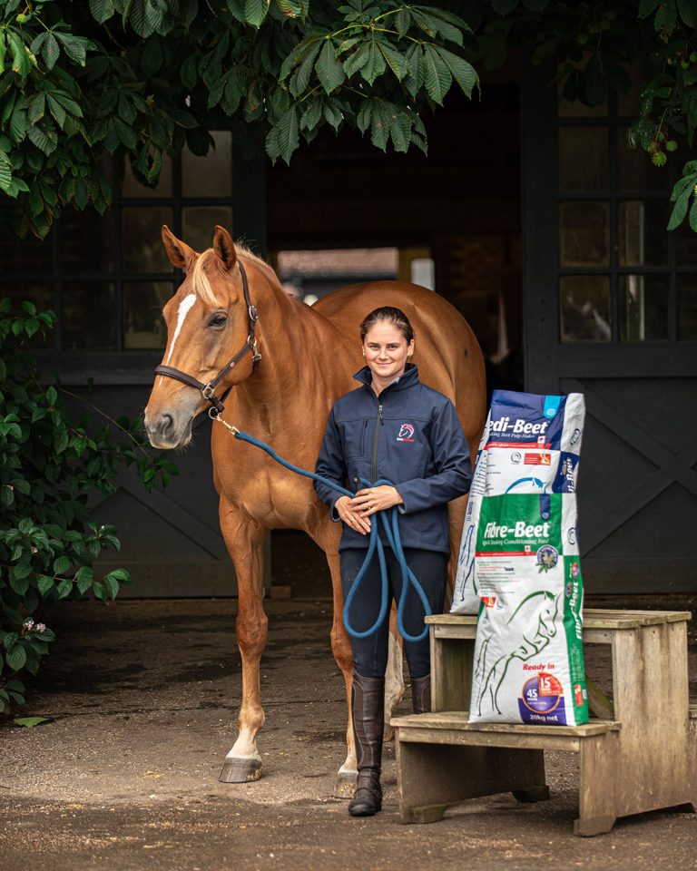 Read more about the article Hackett Equine