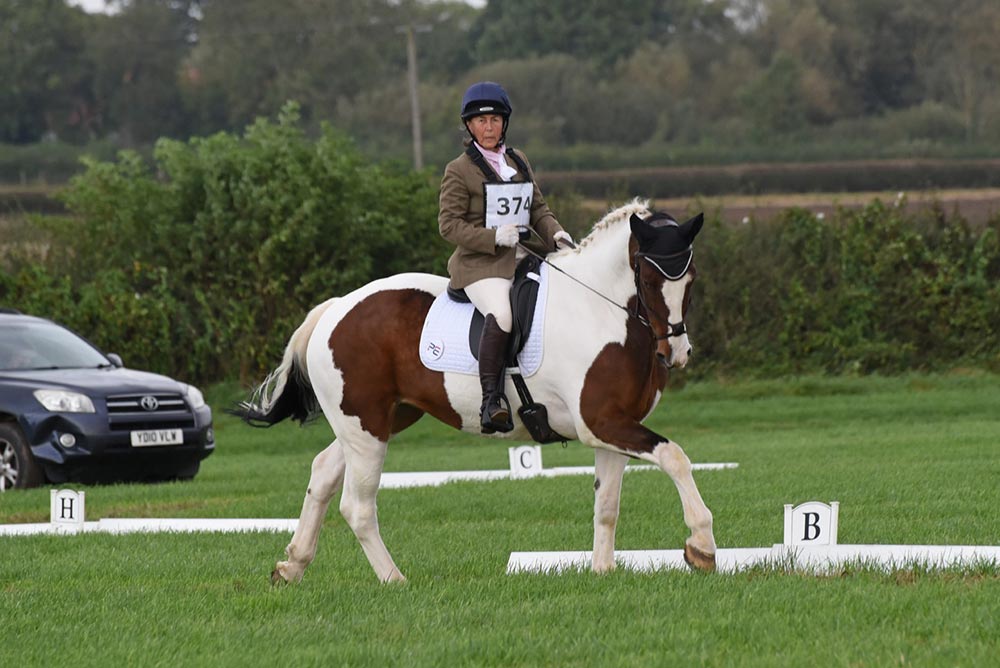 equestrian-on-a-horse