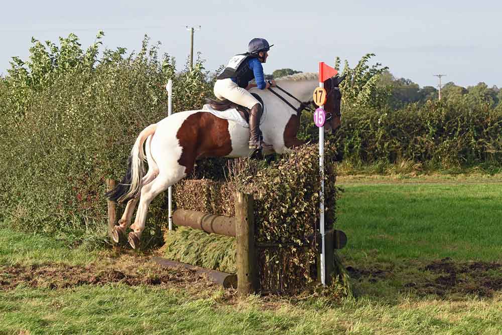 horse-jumping-over-fench