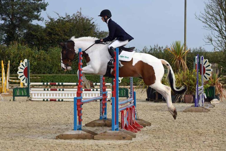 Read more about the article Billy Bank’s Blog: A return to British Show Jumping