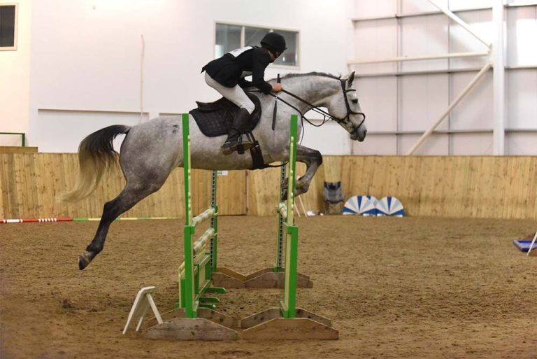 Read more about the article Billy Banks Blog: A WIN in the British Novice at Bishop Burton