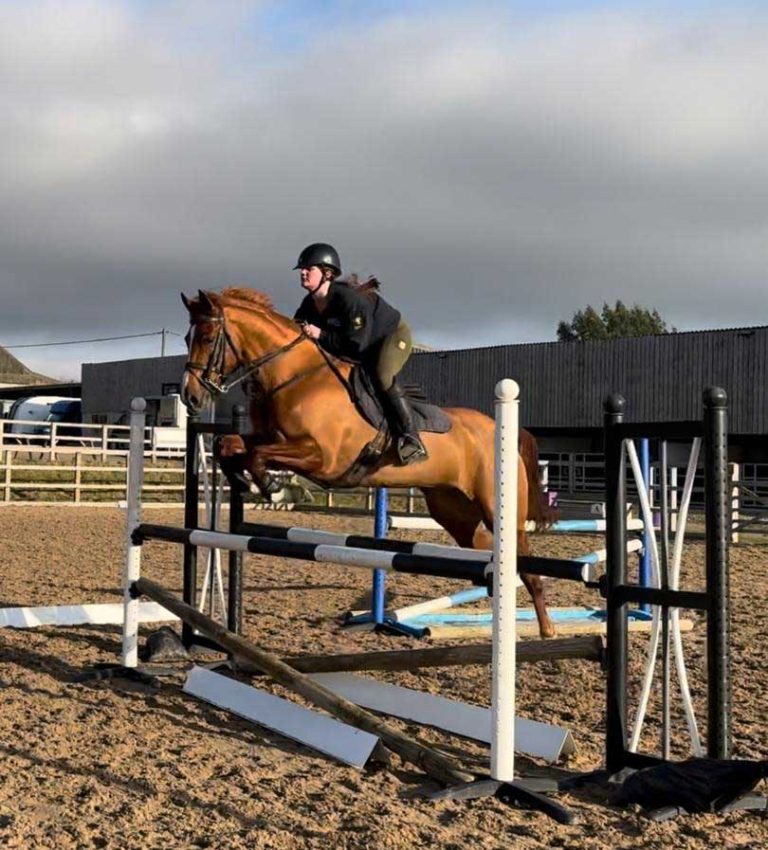 Read more about the article Diary of a 17-Year Old Eventer: New Goals and Exciting Ventures
