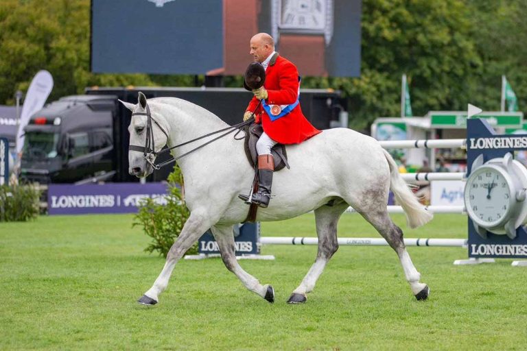 Read more about the article Reynolds Equestrian: A 2023 double champion Cob and an exciting 2024 showing season ahead