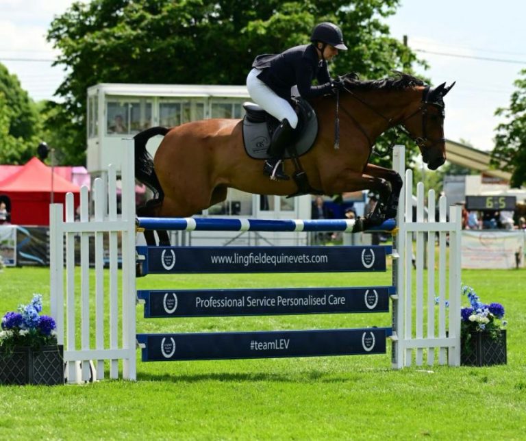 Read more about the article An Exciting Series continues in the British Horse Feeds Speedi-Beet Horse of the Year Show Grade C Championship Series