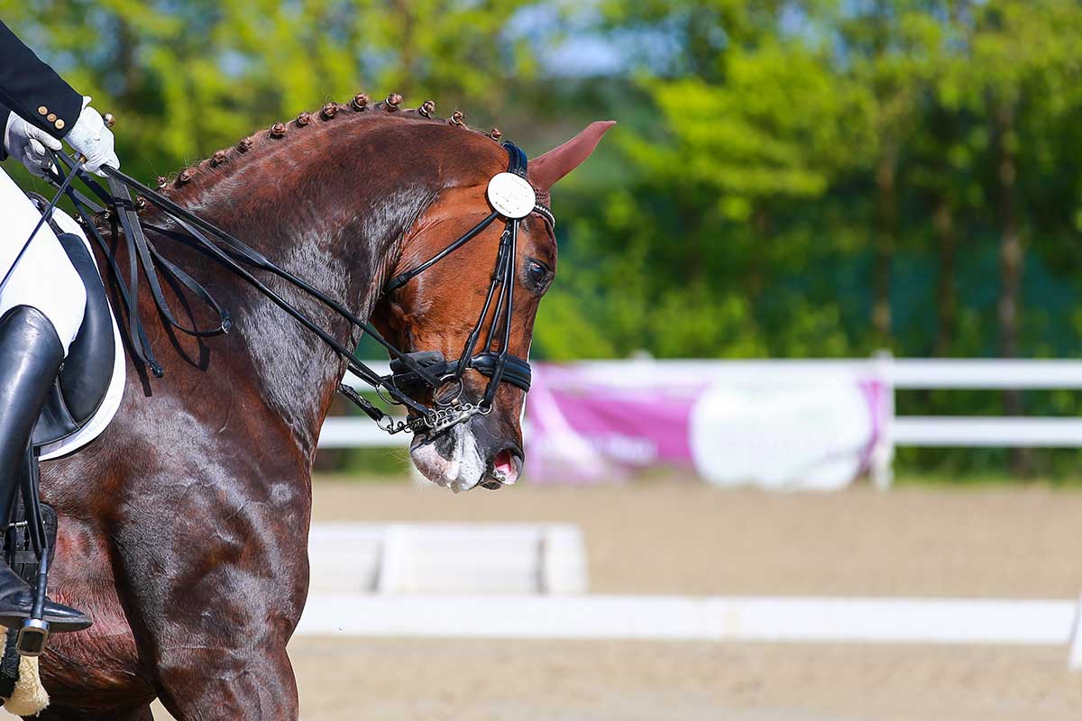 horse-performing