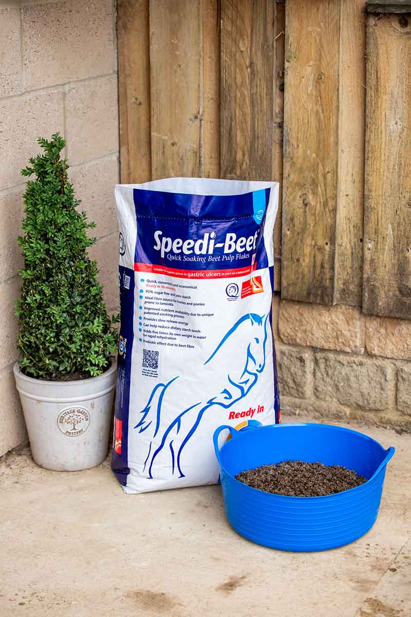 speedi-beet