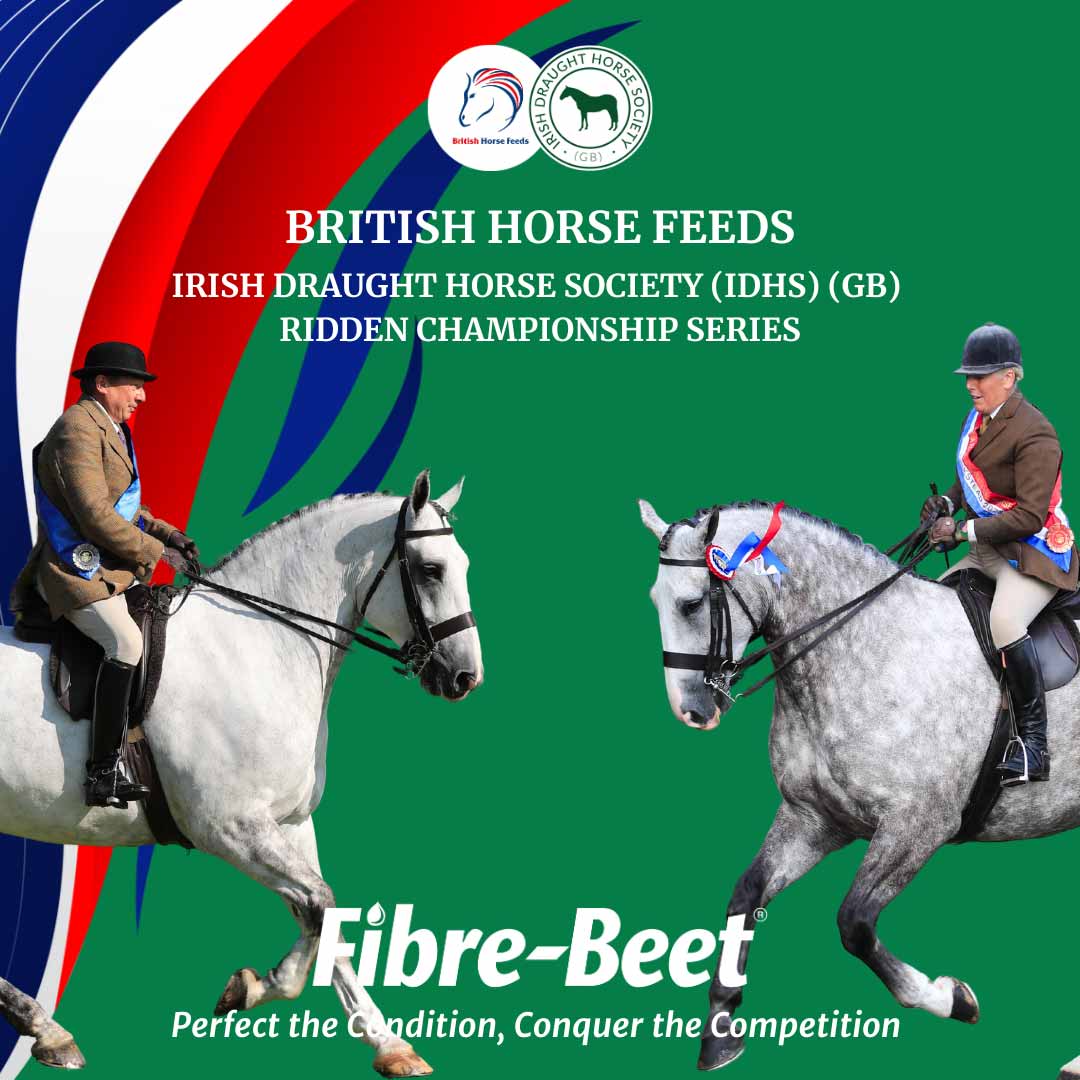 You are currently viewing Excitement Builds for the Second Season of the British Horse Feeds and IDHS(GB) Royal International Championship Series