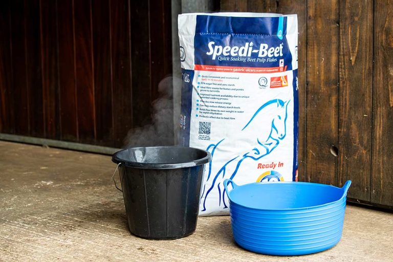 Read more about the article Winter Feeding – What makes Speedi-Beet so good to feed in Winter?