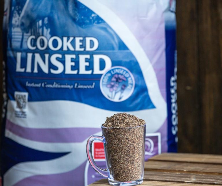 bag-and-mug-of-cooked-linseed Read more about the article BHF Nutrition – Cooked Linseed