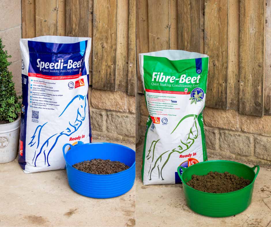 speed-beet-and-fibre-beet
