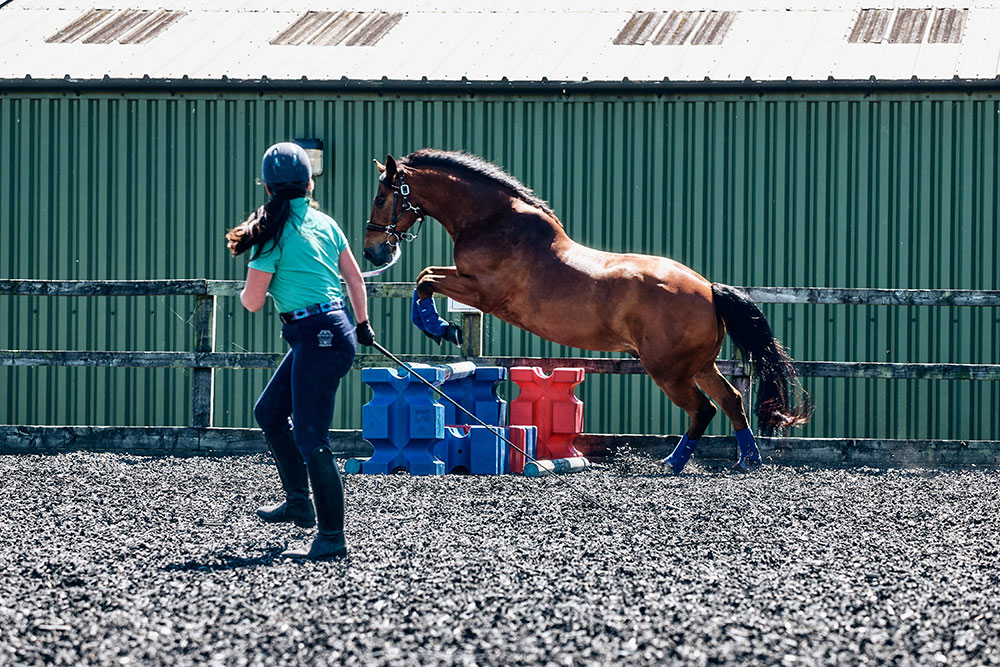 horse-training-with-their-rider