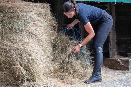 Top 10 Feed Myths Debunked