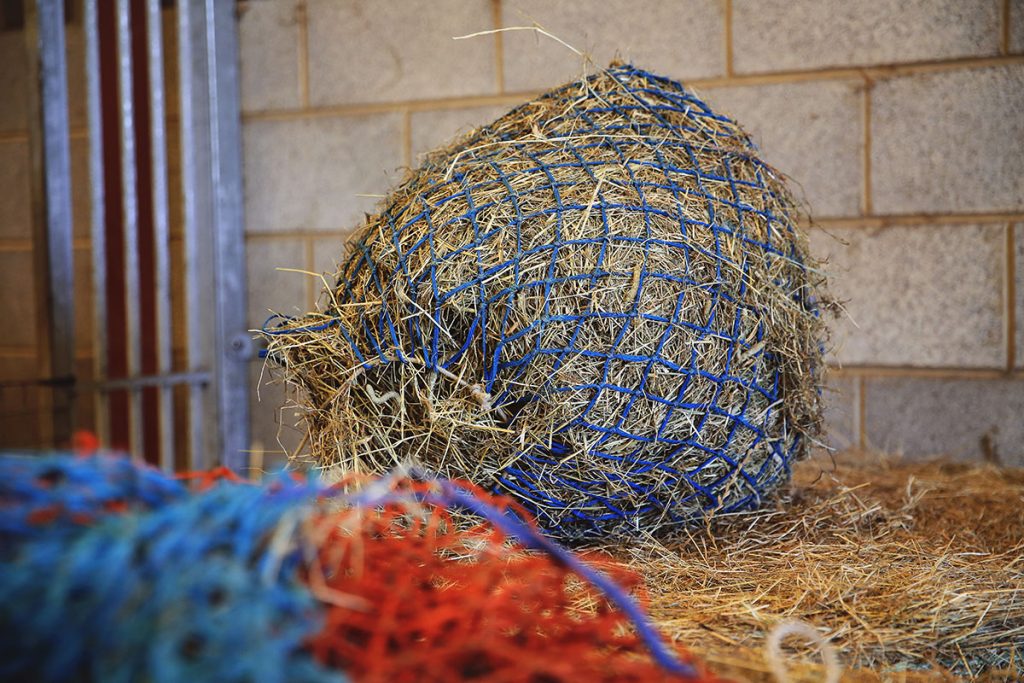 Hay-Replacement-and-Hay-Alternatives-British-Horse-Feeds–Image-1 Hay in a net on the floor of a stable